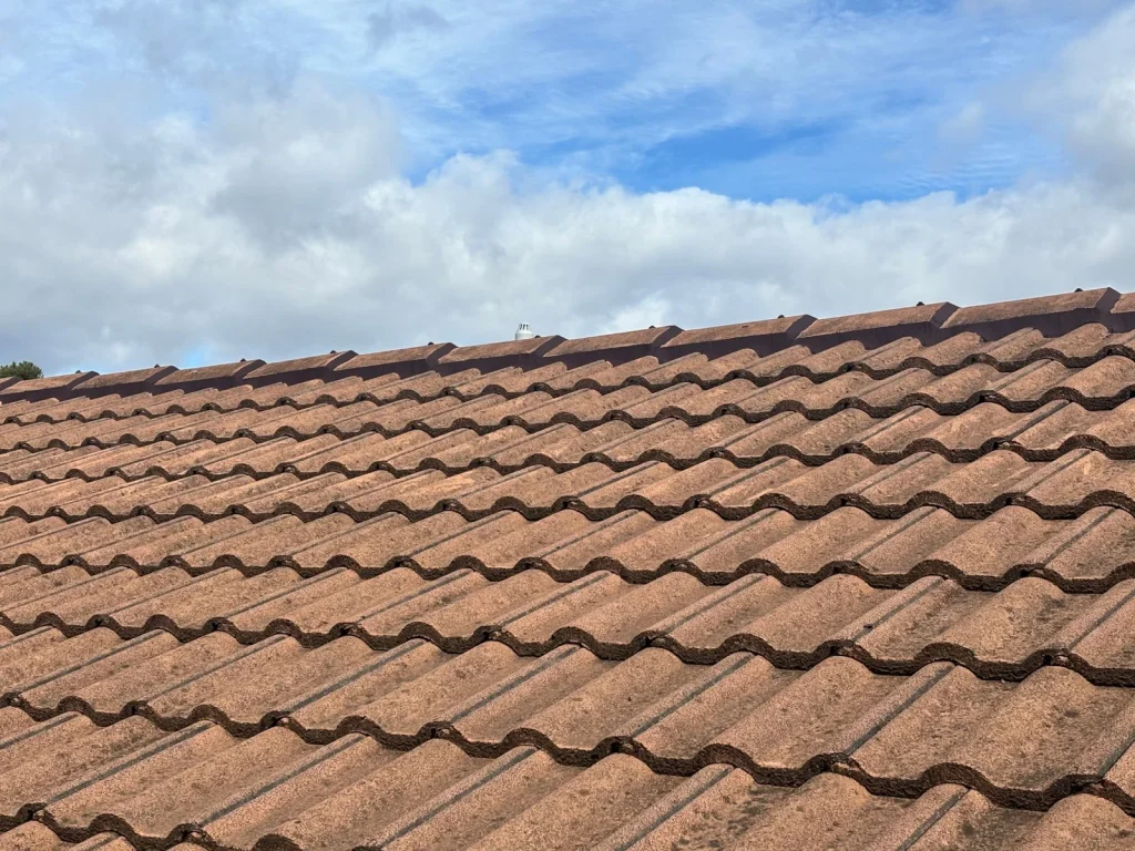 tiled roof needing restoration