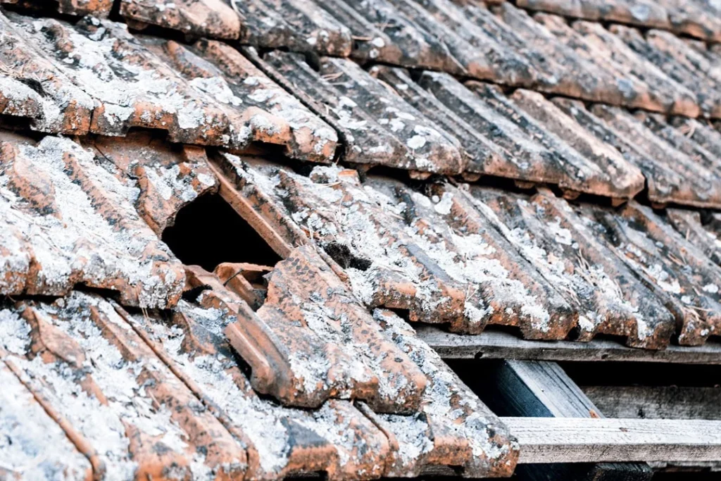 damaged old tile roof